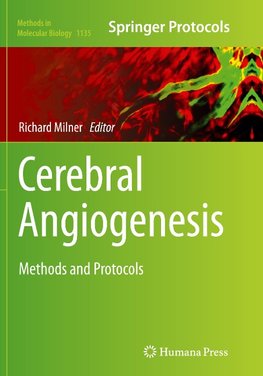 Cerebral Angiogenesis