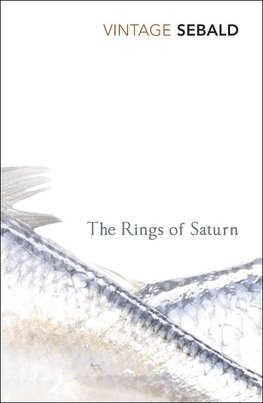 The Rings of Saturn