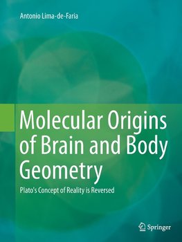 Molecular Origins of Brain and Body Geometry