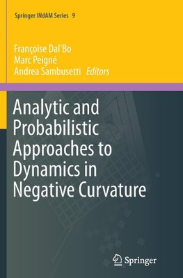 Analytic and Probabilistic Approaches to Dynamics in Negative Curvature