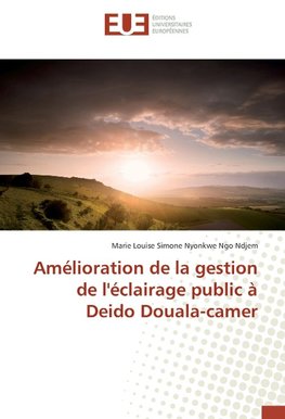 Amélioration de la gestion de l'éclairage public à Deido Douala-camer