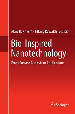 Bio-Inspired Nanotechnology