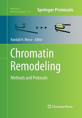 Chromatin Remodeling