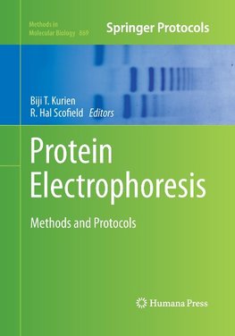 Protein Electrophoresis