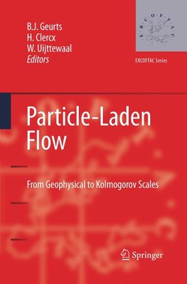 Particle-Laden Flow