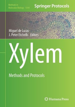 Xylem