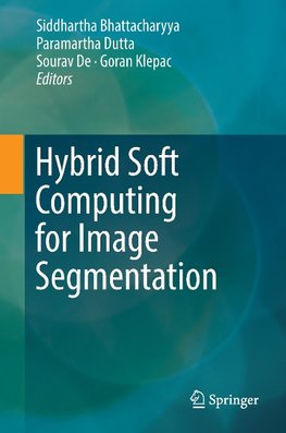 Hybrid Soft Computing for Image Segmentation