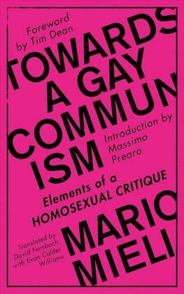 Towards a Gay Communism