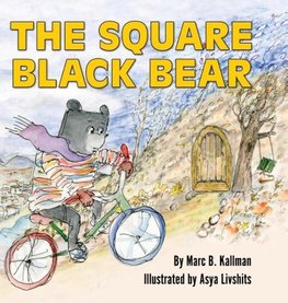 The Square Black Bear