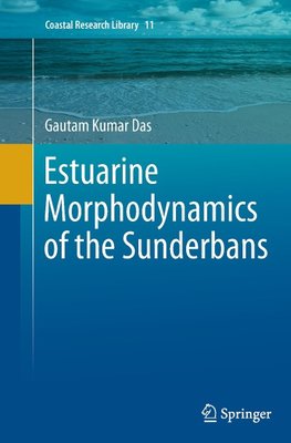 Estuarine Morphodynamics of the Sunderbans