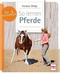 So lernen Pferde