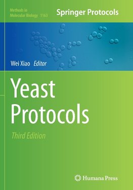 Yeast Protocols