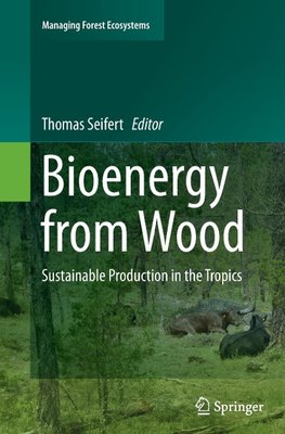 Bioenergy from Wood