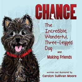 Chance, The Incredible, Wonderful, Three-Legged Dog and Making Friends