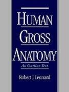 Leonard, R: Human Gross Anatomy