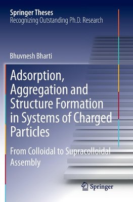 Adsorption, Aggregation and Structure Formation in Systems of Charged Particles