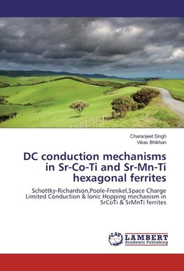 DC conduction mechanisms in Sr-Co-Ti and Sr-Mn-Ti hexagonal ferrites