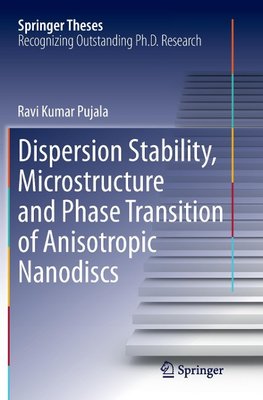 Dispersion Stability, Microstructure and Phase Transition of Anisotropic Nanodiscs