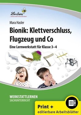 Bionik: Klettverschluss, Flugzeug und Co (Set)