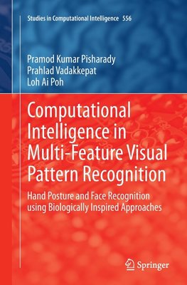 Computational Intelligence in Multi-Feature Visual Pattern Recognition