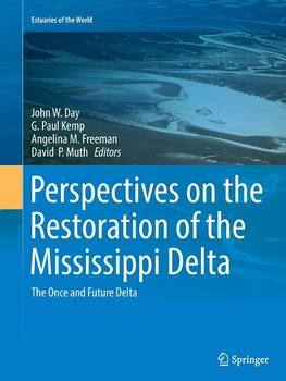 Perspectives on the Restoration of the Mississippi Delta