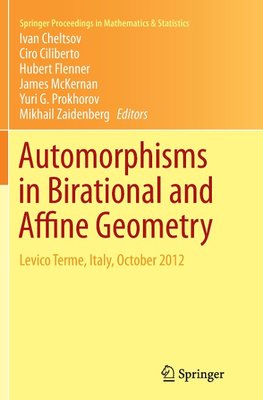 Automorphisms in Birational and Affine Geometry