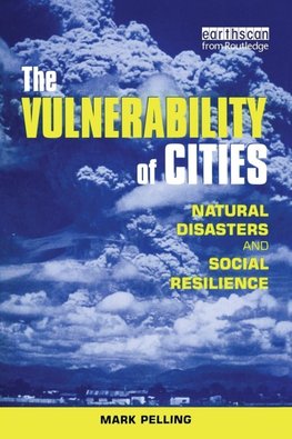 The Vulnerability of Cities