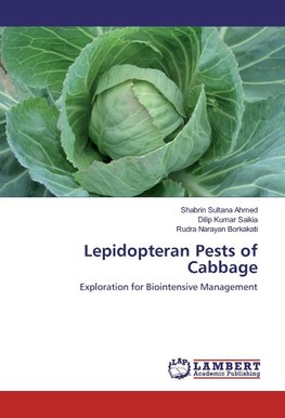 Lepidopteran Pests of Cabbage