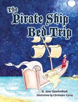 The Pirate Ship Bed Trip