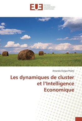 Les dynamiques de cluster et l'Intelligence Economique