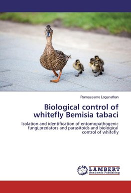 Biological control of whitefly Bemisia tabaci