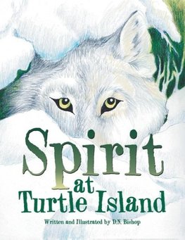 Spirit at Turtle Island