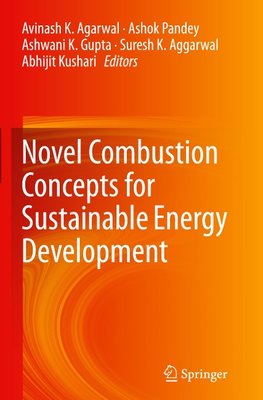 Novel Combustion Concepts for Sustainable Energy Development