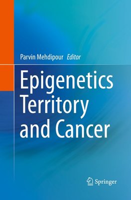 Epigenetics Territory and Cancer