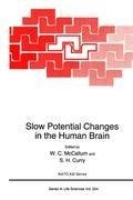 Slow Potential Changes in the Human Brain