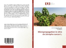 Micropropagation in vitro de Jatropha curcas L.