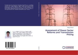 Assessment of Power Sector Reforms and Transmission Pricing