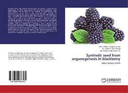 Synthetic seed from organogenesis in blackberry