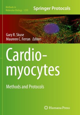 Cardiomyocytes