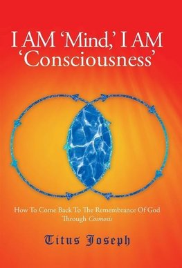 I AM 'MIND' I AM 'CONSCIOUSNESS'