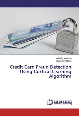 Credit Card Fraud Detection Using Cortical Learning Algorithm