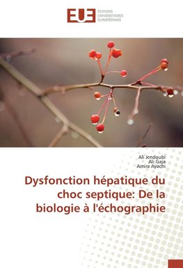 Dysfonction hépatique du choc septique: De la biologie à l'échographie