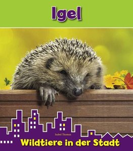 Igel. Wildtiere in der Stadt