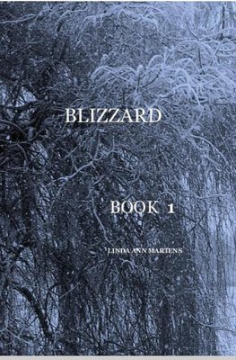 BLIZZARD BOOK 1 LINDA ANN MARTENS