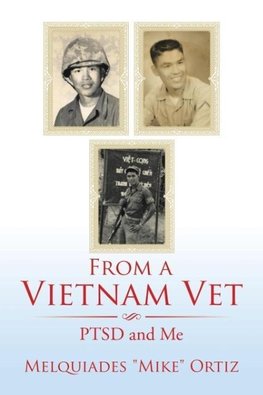 From a Vietnam Vet