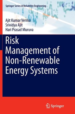 Risk Management of Non-Renewable Energy Systems