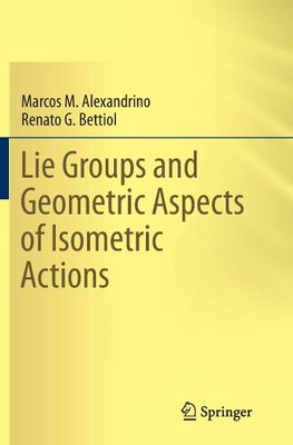 Lie Groups and Geometric Aspects of Isometric Actions