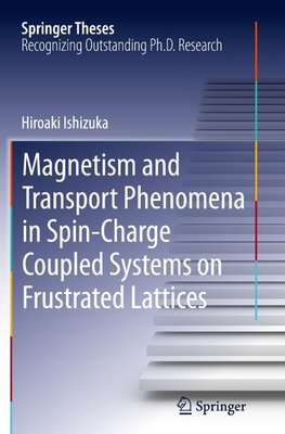 Magnetism and Transport Phenomena in Spin-Charge Coupled Systems on Frustrated Lattices