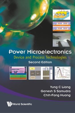 Power Microelectronics