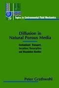 Diffusion in Natural Porous Media